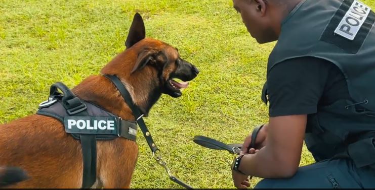 2026 Je filme le métier qui me plaît – Soutenez nous en aimant notre vidéo !