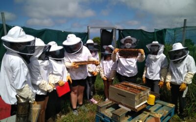 Les élèves de seconde 2 visitent les ruches