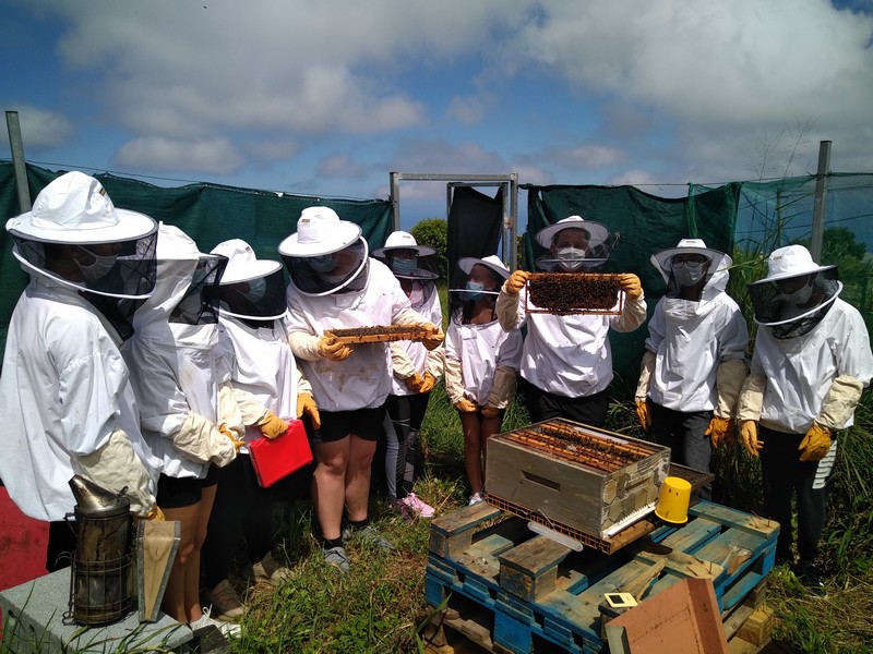 Les élèves de seconde 2 visitent les ruches