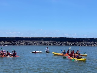 A.P.P.N. seconde PRo