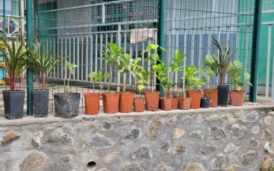 lES éco délégués chez les maternelles de carosse