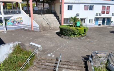 Équinoxe de Mars : tracé du méridien du lycée de trois Bassins par les élèves du B.I.A.