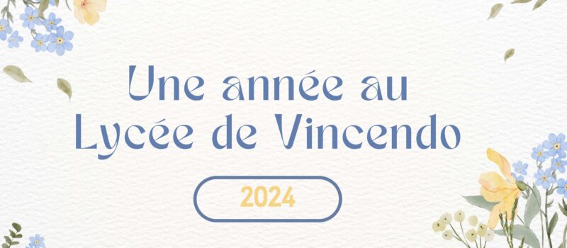 Une année au Lycée de Vincendo