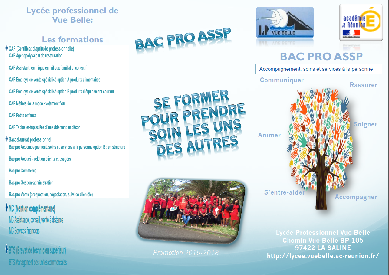 presentation bac pro assp